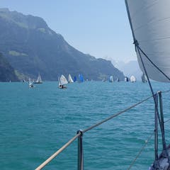 Hochbetrieb auf dem Urnersee! (Bild: Priska Arnold, 30. Juni 2019)