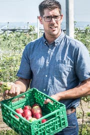 Ralph Gilg, Präsident des Thurgauer Obstverbandes, mit beschädigten Äpfeln. (Bild: Andrea Stalder)