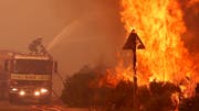 Buschbrände wie hier in Südafrika gehören auf dem «Feuerkontinent» zum Alltag. Bild: S. van Zuydam/Keystone