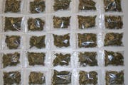 Die Polizei präsentierte unter anderem auch beschlagnahmtes Marihuana. (Bild: Luzerner Polizei)