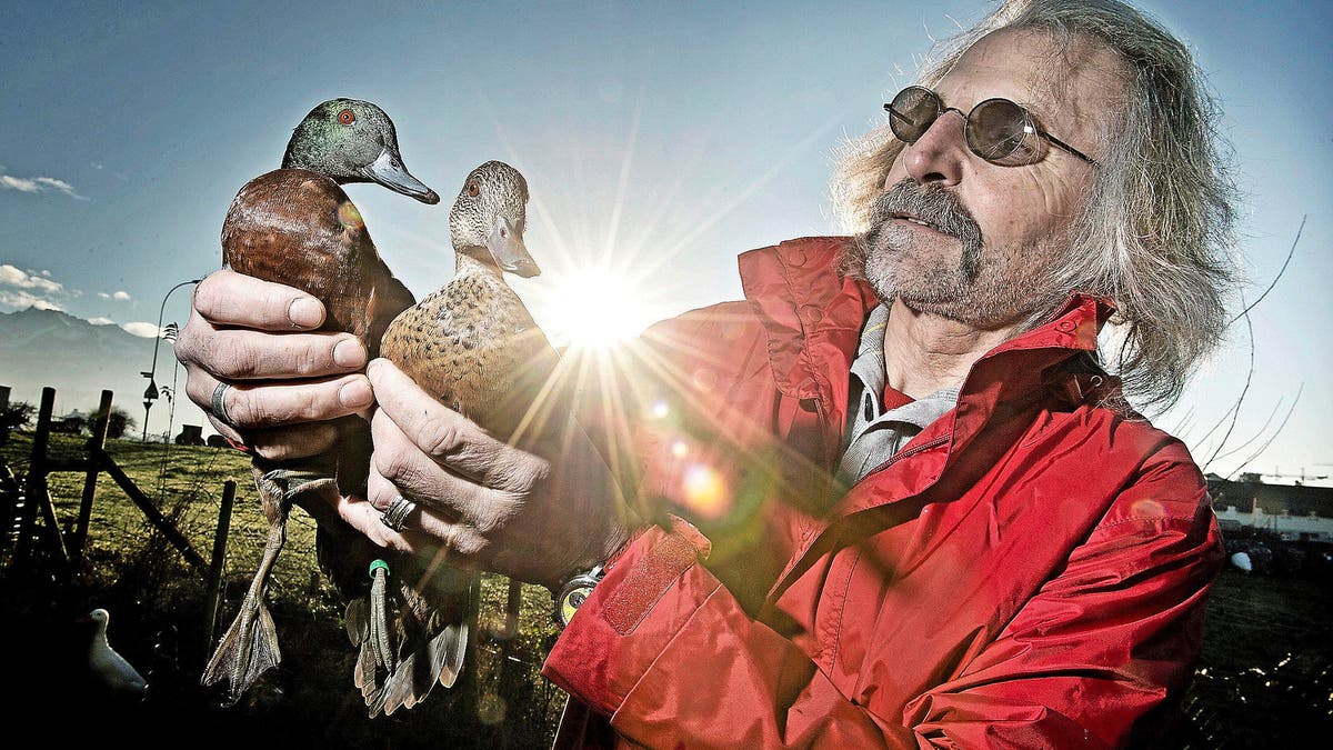 preis die schonsten enten leben in rothenburg