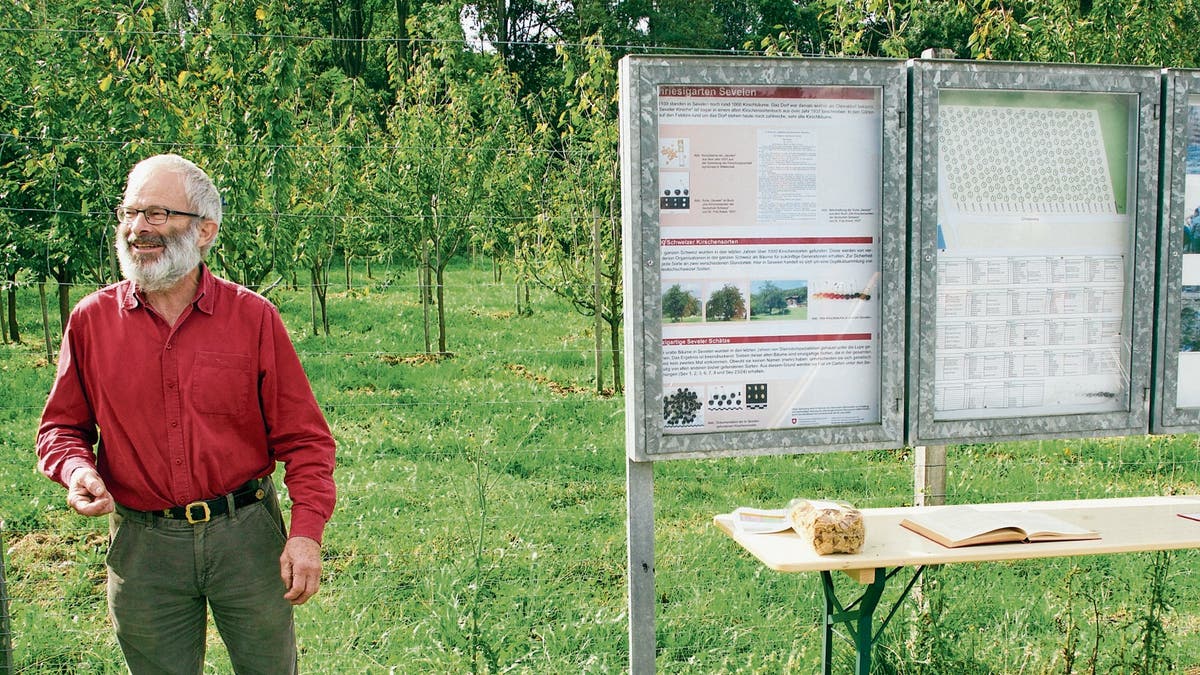 Natur kennenlernen