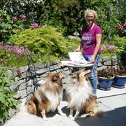 Sorgfältig wählt Marianne Gantenbein Lieder für das Offene Singen aus. Dabei wird sie von ihren Hunden Leo und Terry aufmerksam beobachtet. (Bild: Esther Wyss)