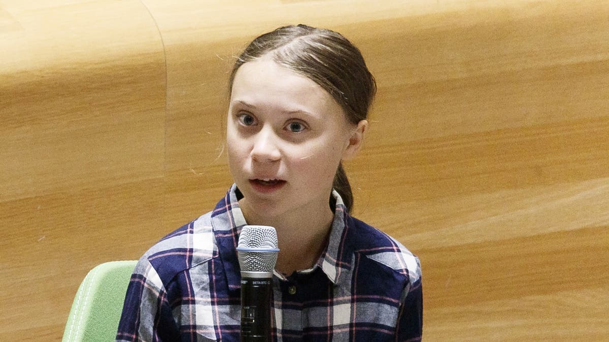 Greta Thunberg ist das Gesicht einer Generation: «Sie ...