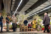 An der diesjährigen Offa haben 505 Aussteller ihre Produkte präsentiert. (Bild: Adriana Ortiz Cardozo)