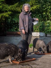 Gaby Zimmermann mit ihren Minipigs. (Bild: Reto Martin)