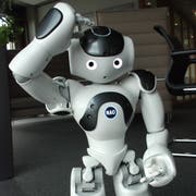 Der Roboter Nao ist 58 Zentimeter gross und sehr beweglich. (Bild: pd)