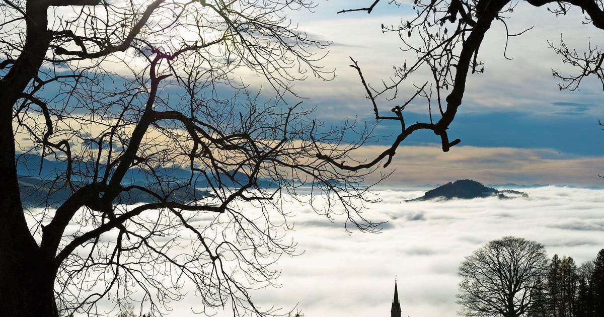 APPENZELL AUSSERRHODEN: Finanzausgleich: Das Dilemma der ...