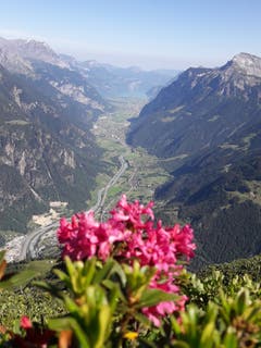 Blick vom Bristensee über das Urner Unterland. (Bild: Gustav Tresch, 30. Juni 2019)