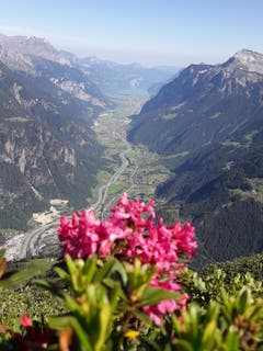 Blick vom Bristensee über's Urner Unterland. (Bild: Gustav Tresch, 30. Juni 2019)