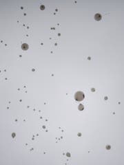 Die KSB-Ballone schweben davon.
