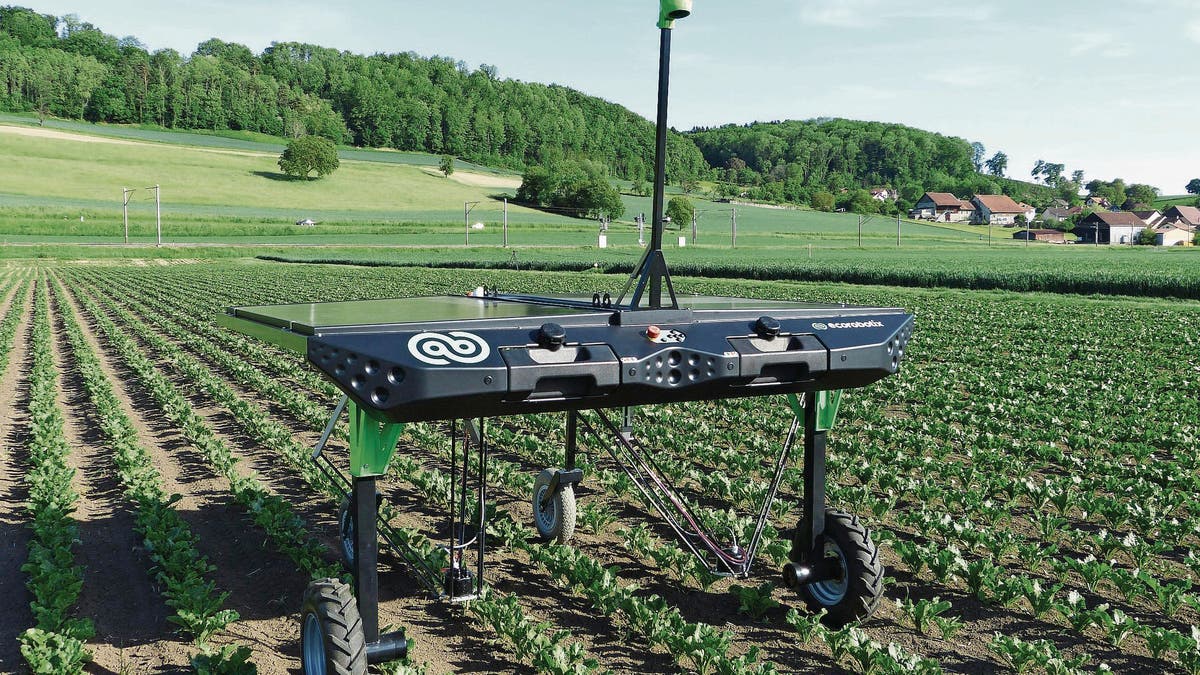 DIGITALISIERUNG DER LANDWIRTSCHAFT: Der Roboter ist der neue Knecht