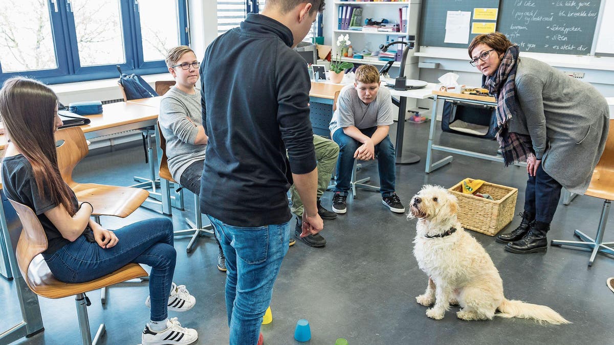 RORSCHACHERBERG Hund Odin hilft in der Schule St.Galler Tagblatt