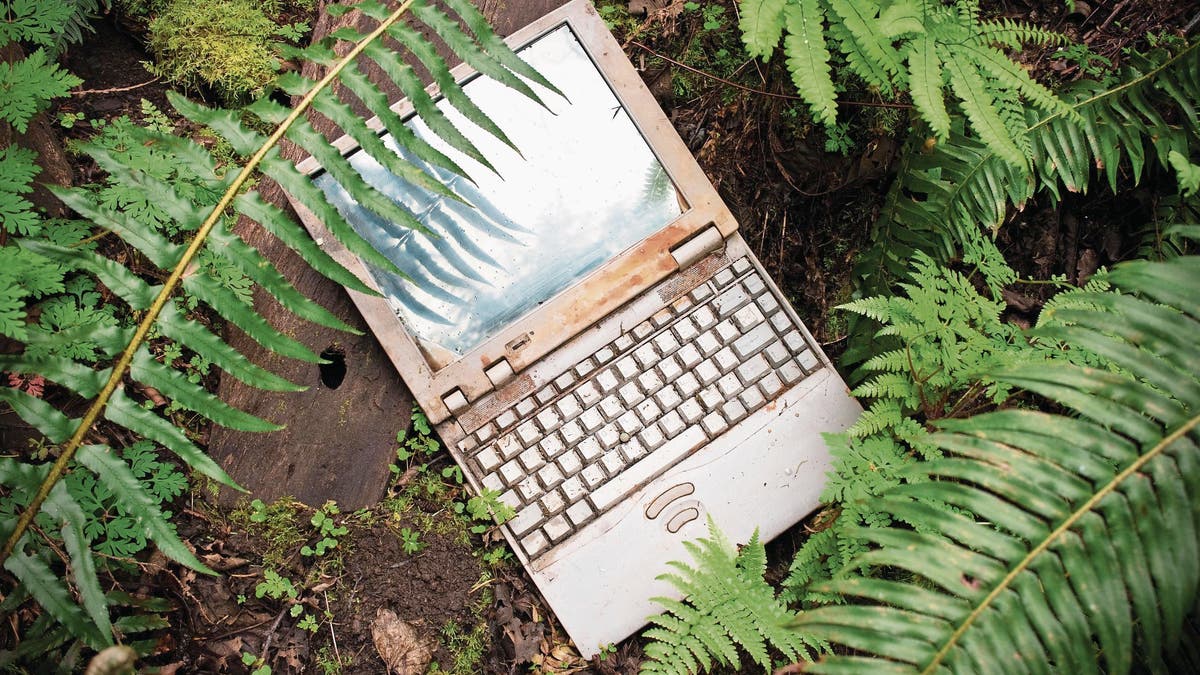 COMPUTER-GESCHICHTE: Wie der Computer Alltag wurde ...