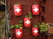 Wenn das ausgetrunkene Partybierfass zum dekorativen Wandschmuck wird. Gesehen im Familiengarten Blumenwies im Osten der Stadt St.Gallen. (Bild: Reto Voneschen - 4. November 2019)