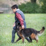 Spielerisch übt Doris Meier mit Hündin Zidanne. (Bild: Andrea Stalder)