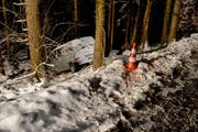 Das Auto kam im Hang neben der Strasse zu stehen. (Bild: Kantonspolizei Nidwalden)