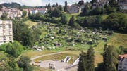 Die Ruckhalde: Mit Wohnungen überbaut werden soll dereinst der Teil mit den Familiengärten sowie die Hecke und die Wiese darüber. (Bild: Ralph Ribi - 8. August 2019)