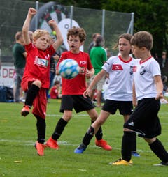 Bei den Bambini treffen der SC Berg und Münsterlingen (rot) aufeinander. (Bild: Donato Caspari)