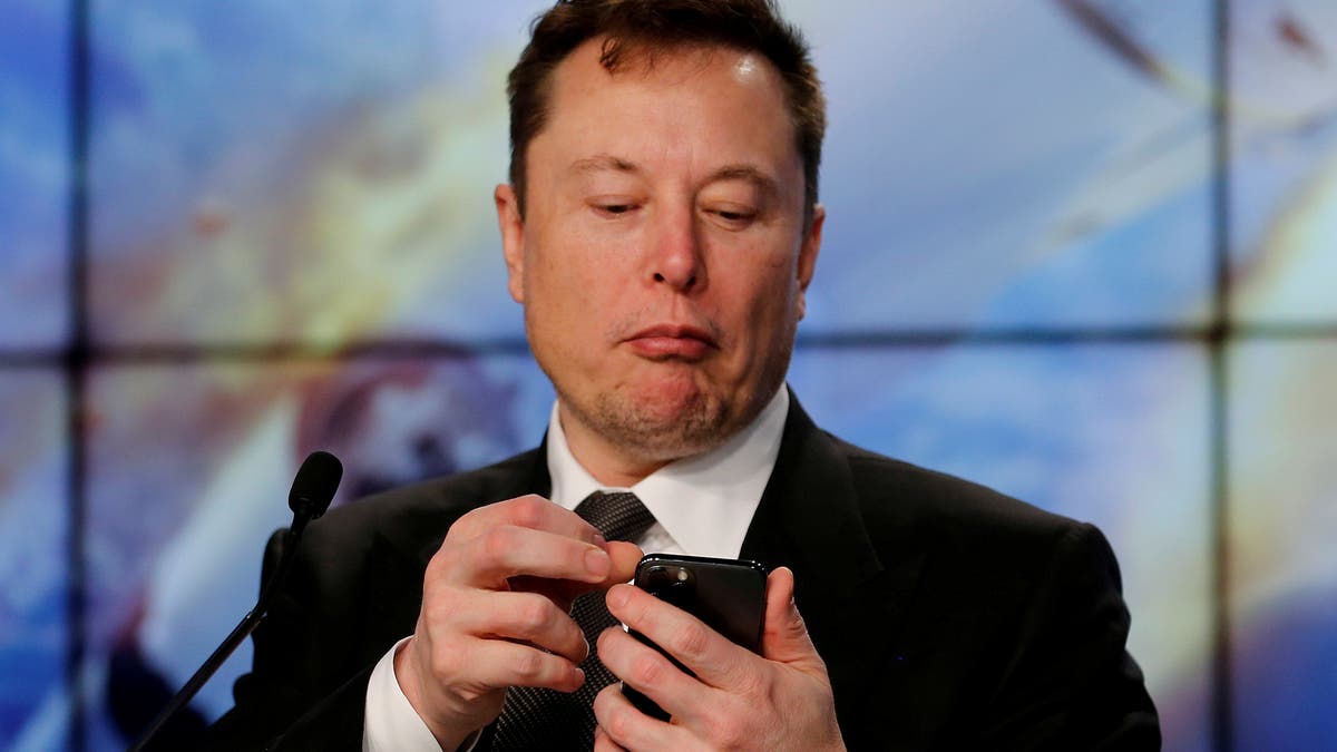 Börsenrekord: Bitcoin, Gamestop, Tesla: Elon Musk wird zur Symbolfigur der neuen Börsenmanie ...