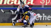 Morant teilt ab kommender Saison Checks im Dress des ZSC aus. (Bild: freshfocus)