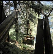 Das Bähnli erreicht die Bergstation Unter Zingel. (Bild: Ruedi Wechsler (Wolfenschiessen, 19. Juli 2018))
