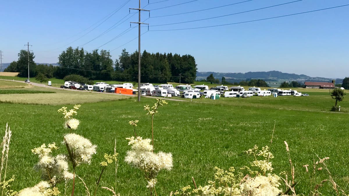 Sinti und roma kennenlernen