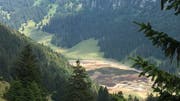 Der Sämtisersee ist fast ausgetrocknet. (Bild: Migg Hehl/PD)
