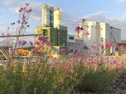 Blick auf das Areal der Firma Lötscher Kies + Beton AG in Ballwil. (Bild: PD)
