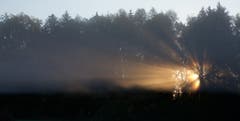 Herbstliche Lichtspiele am Waldrand. (Leserbild: Hans Aeschlimann - 13. Oktober 2018)