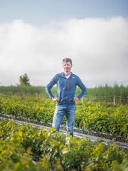 Biowinzer Roland Lenz steht in den ersten eigenen Jungreben. (Bild: Thi My Lien Nguyen)