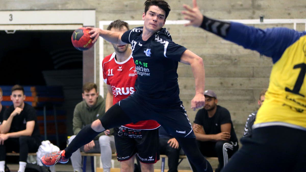 1. Liga Handball 1. Liga Handball