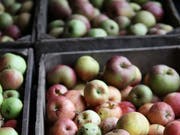 Die Ernte 2018 kompensiert diejenige von 2017. (Bild: Manuela Jans)