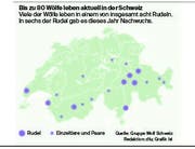 Quelle: Gruppe Wolf Schweiz / Redaktion: dfu / Grafik: lsi