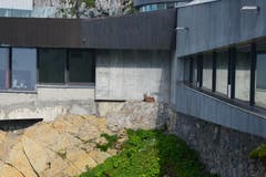 Fast wie bestellt: Die erste Steinbockgeiss empfängt uns direkt bei der Panoramagalerie. (Bild: Andrea Hofstetter)