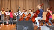 Kammermusik mit dem Streichensemble unter der Leitung von Regula von Tószeghi.(Bild: Trudi Krieg)