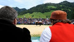 Die Jury an einem Schwingfest im Kanton Freiburg. (Bild: Keystone/Dominic Favre)
