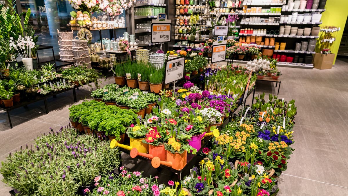 Lockdown Mal so, mal anders Bund verbietet Blumenverkauf in Migros