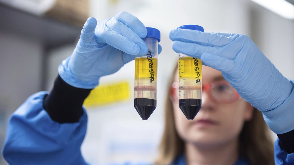 Coronavirus - Phase III erreicht und doch bleiben Fragen ...