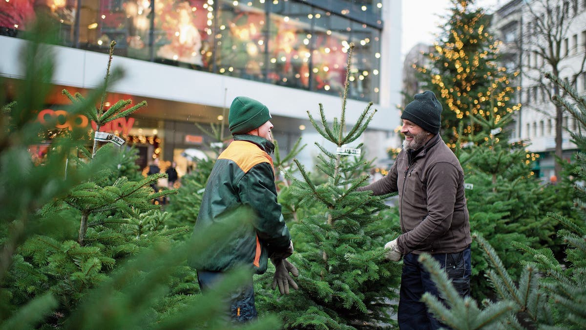 In Zug Kaufen Sogar Kunden Aus Der Westschweiz Christbaume Luzerner Zeitung