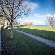 Die Bunkerwiese am Hafen Romanshorn.(Bild: Reto Martin)