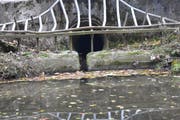 Hinter dem Werkhof der Firma Oberhänsli Bau AG werden das Einlaufbauwerk und das Rückhaltebecken vergrössert. (Bild: Timon Kobelt)