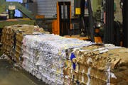 Gepresster Karton in den Lagerhallen der Kuster Recycling AG. (Bild: Timon Kobelt)