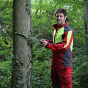 Der neue Revierförster Sebastian Lanker kümmert sich um den Bestand der Bäume. (Bild: Ines Biedenkapp)