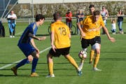 Die gelben Wattwiler empfangen am Samstag auf der Grüenau Mitaufsteiger Bischofszell. Beiden weht in der neuen Umgebung ein steifer Wind entgegen. Hier wie dort heisst das Ziel Ligaerhalt.Bild: Beat Lanzendorfer