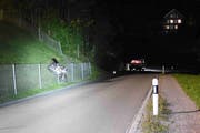 Das Motorrad des 20-Jährigen kam vor einem Zaun zum Stillstand. (Bild: Kapo)