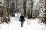 Wer seinen Hund trotz Leinenpflicht nicht anleint, könnte künftig eine Busse von einem Reservatsaufseher erhalten. Bild: Keystone/Anthony Anex (Grindelwald, 28. Oktober 2018)