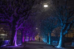 Die Schneeflocken tragen zur mystischen Stimmung auf dem Schweizerhofquai bei. (Bild: Dominik Wunderli (9. Januar 2019))