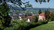 Hitzkirch soll eine Mehrzweckhalle erhalten. (Bild: Eveline Beerkircher, 9. September 2015)