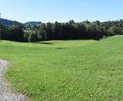 Die Deponie Ritzentaa soll auf dieser Wiese zwischen der Kengelbacherstrasse und dem Dietfurterbach angelegt werden. (Bild: Urs M. Hemm)
